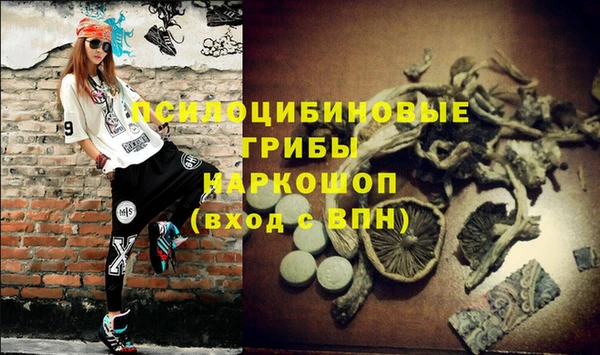 apvp Заволжск