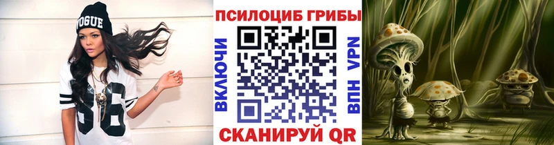 Псилоцибиновые грибы мухоморы  Купить закладки  Закаменск 